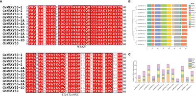 Function analysis of GhWRKY53 regulating cotton resistance to verticillium wilt by JA and SA signaling pathways